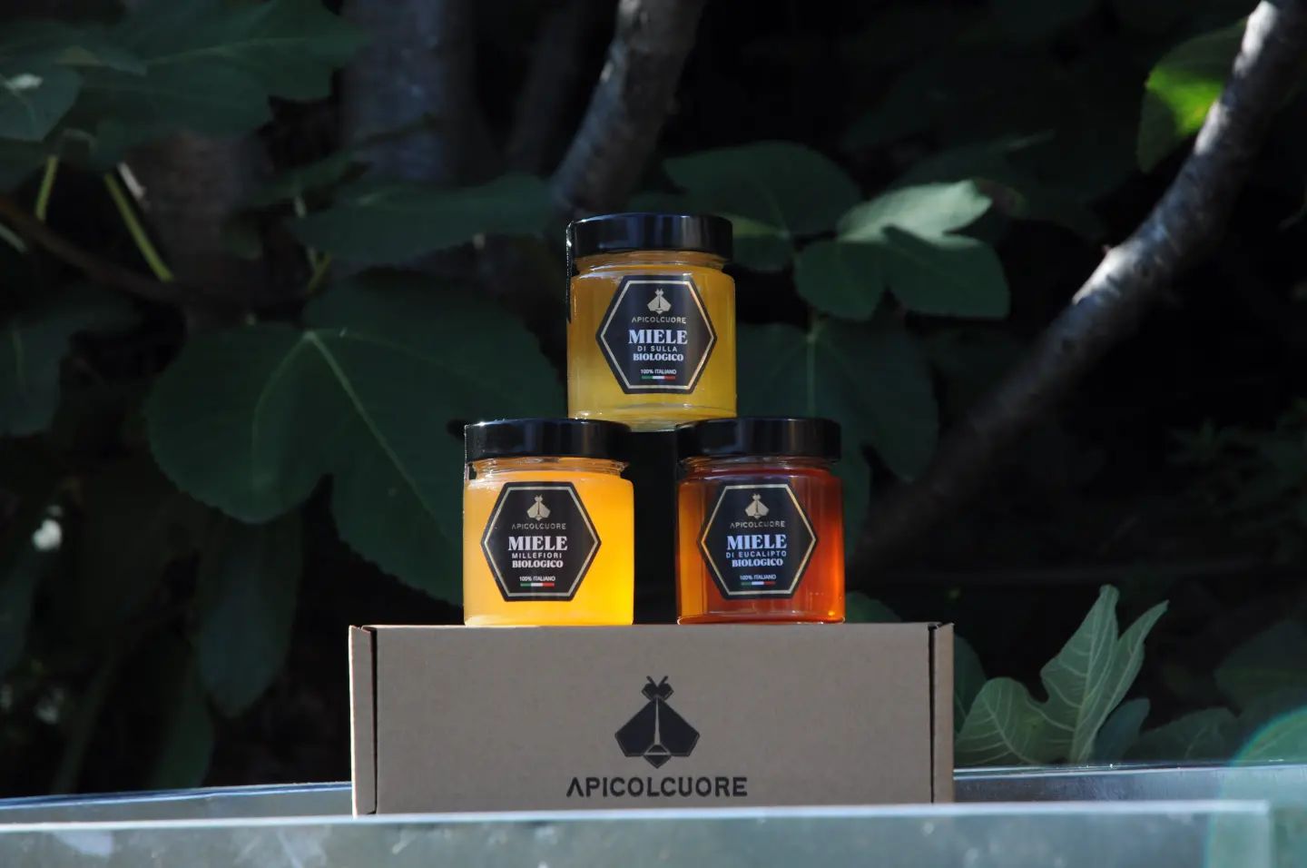 Miele di Eucalipto Kalypso BIOLOGICO