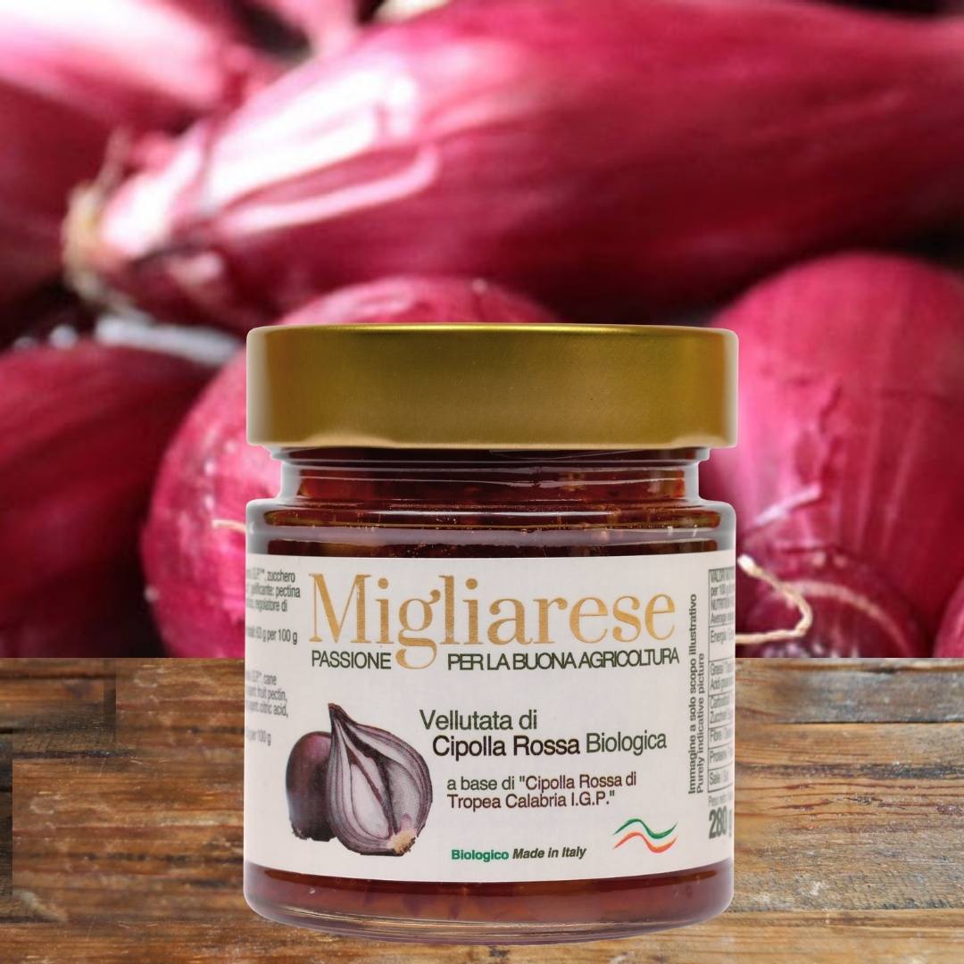 Vellutata Biologica di Cipolla di Tropea I.G.P. 300g -