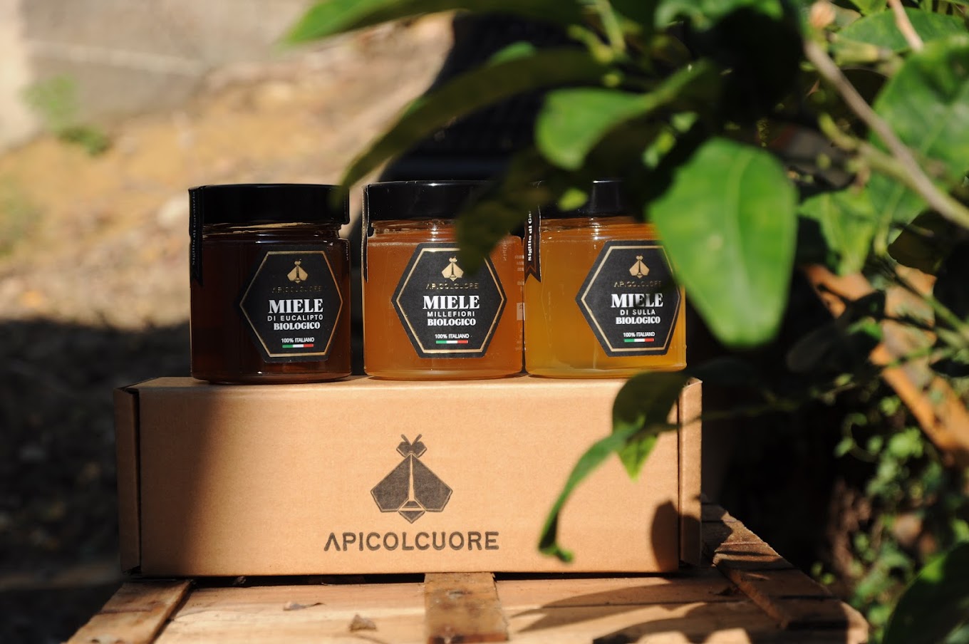 Miele Eucalipto BIOLOGICO