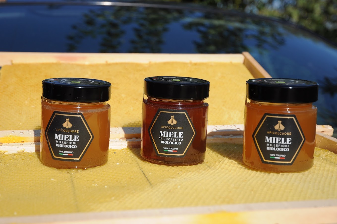 Miele Millefiori BIOLOGICO