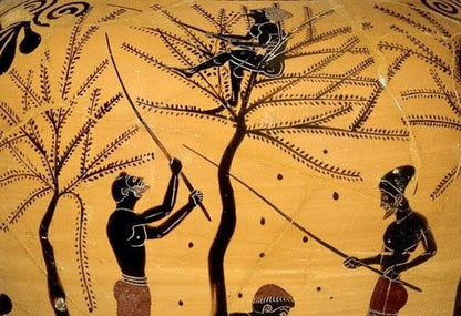 Olio Extra Vergine di Oliva BIO da 0,75 l - Olio